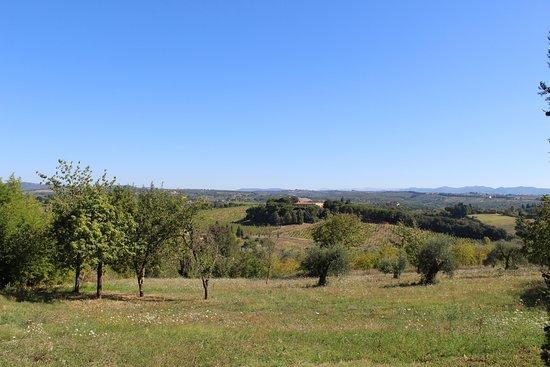 Agriturismo Malafrasca Siena Exterior photo